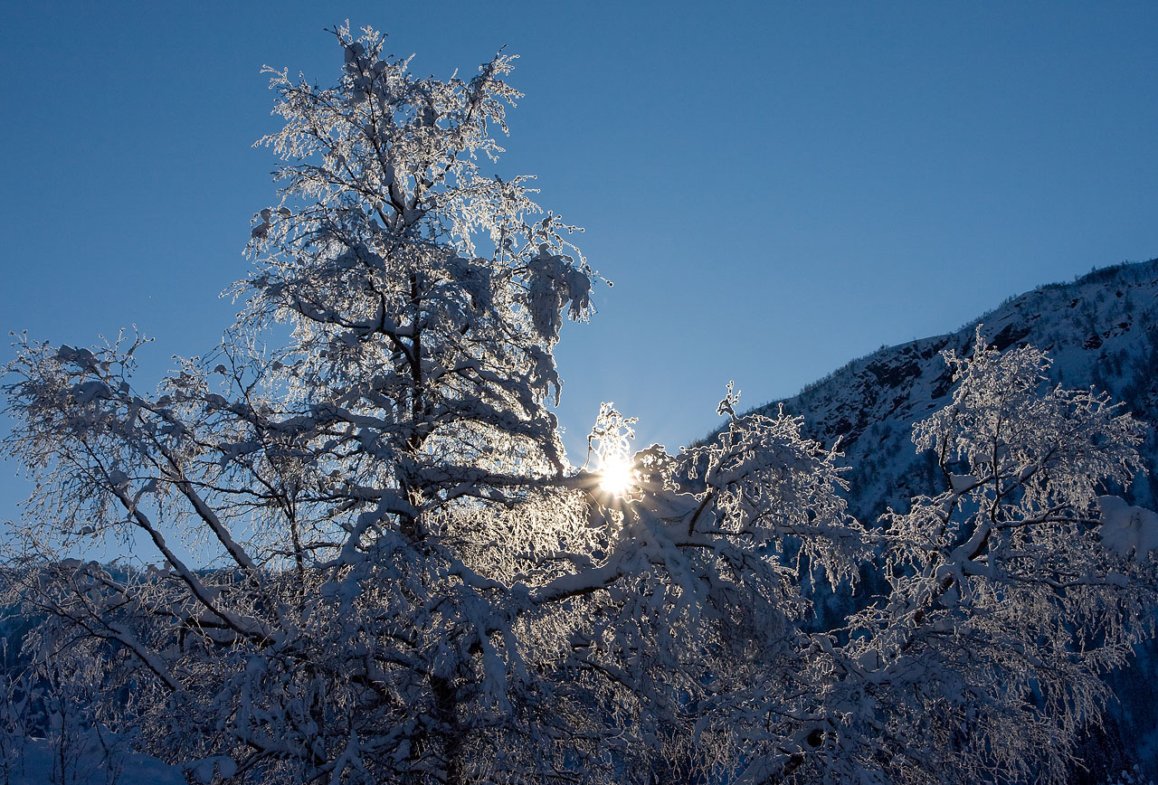 Pics of places that look like places from the films, or are just nice. [3] - Page 12 Vinter-3