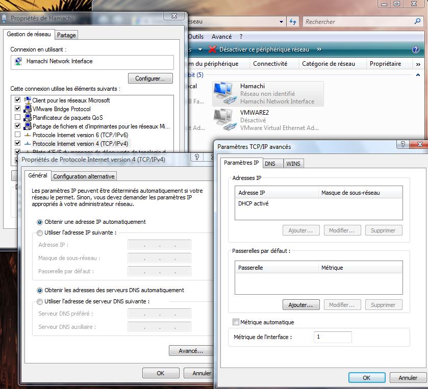 [TUTO] Hamachi 2 1-metrique-hamachi