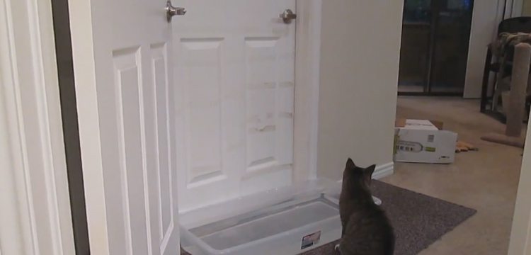 Ce chat trouve toujours un moyen d’ouvrir les portes !!! by Tuxboard Chat-ouvre-portes-piegees