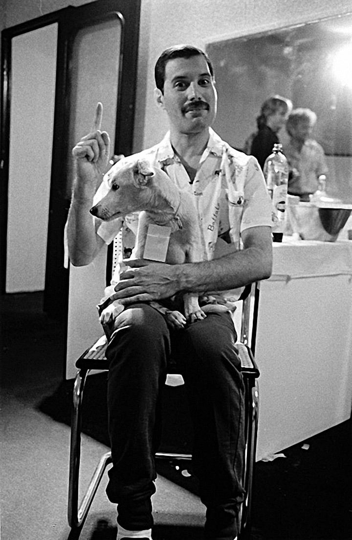 45 images pour redécouvrir Freddie Mercury ! by Tuxboard Freddie-mercury-queen-36