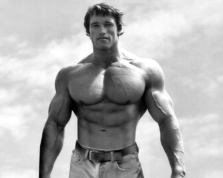 [Jeu] Suite d'images !  Arnold-schwarzenegger-bodybuilder-3-720x576