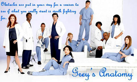 Uvod u anatomiju (Grey's Anatomy) Uvod-u-anatomiju1353020090819094227