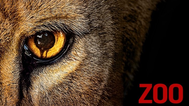 ~ La série : Zoo ~ Zoo-header