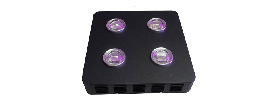 cob led grow lights Cob%20spiderd%202