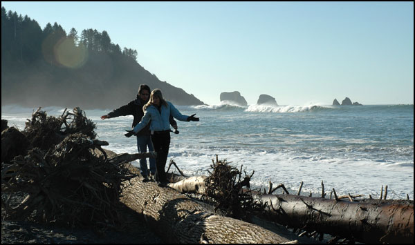 Forks Buscando Hacer Un Museo De Twilight Catherine-Hardwicke-log