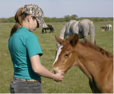 smithsons ranch 07queeniexpeacetimecolt25