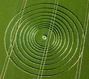 Crop Circle  - Página 18 Ridgeway13