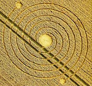 #Misterio en Salta: aparecieron círculos OVNI en campos de trigo#Nuevos Círculos de las Cosechas en 2011 al 2015 - Página 13 Silbury-august8-spirals1