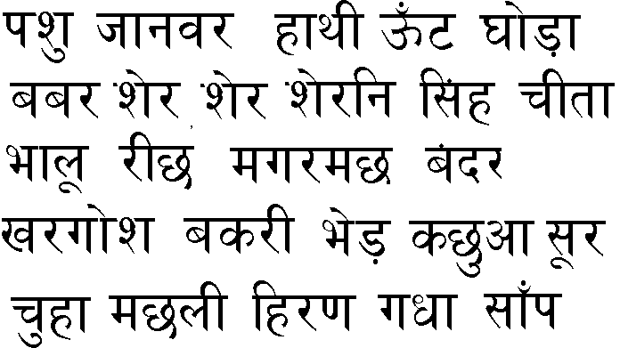 Learn the base of Hindi Zhinsan
