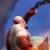 Mini guia de God of war 2 Imagen_i1653_x