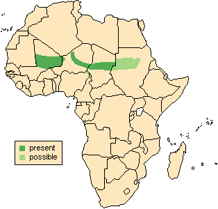 غزال المهر Dama Gazelle N_dama_map