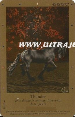 [Poneys/chevaux]  Blabla, venez en parler et partager . - Page 5 F23