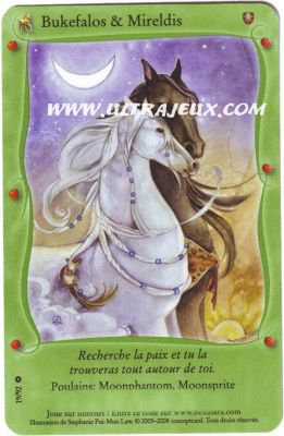 [Poneys/chevaux]  Blabla, venez en parler et partager . - Page 5 019