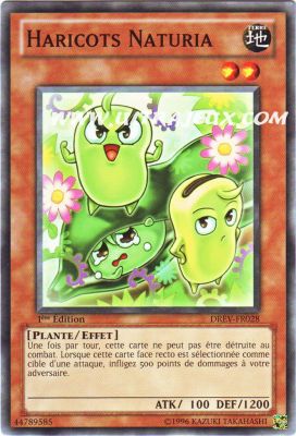 Avis Sur le Prochain Booster ! => Révolution des Duelistes Drev-fr028