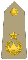 الرتب العسكرية الجزائرية   2008 Algeria-army-1985-current_11