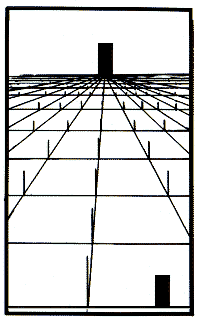 Trucs incroyables et illusions d'optique Opticaltx019