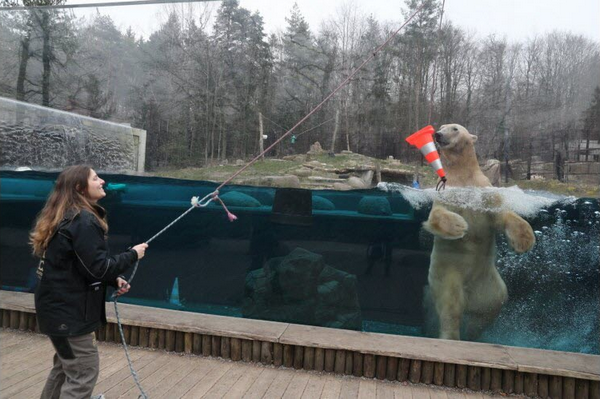 L'Histoire du Zoo de Roanne 61a6342e38d6e