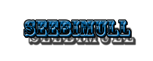 Seebimull