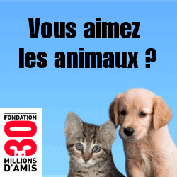 http://www.animalement-correct.fr