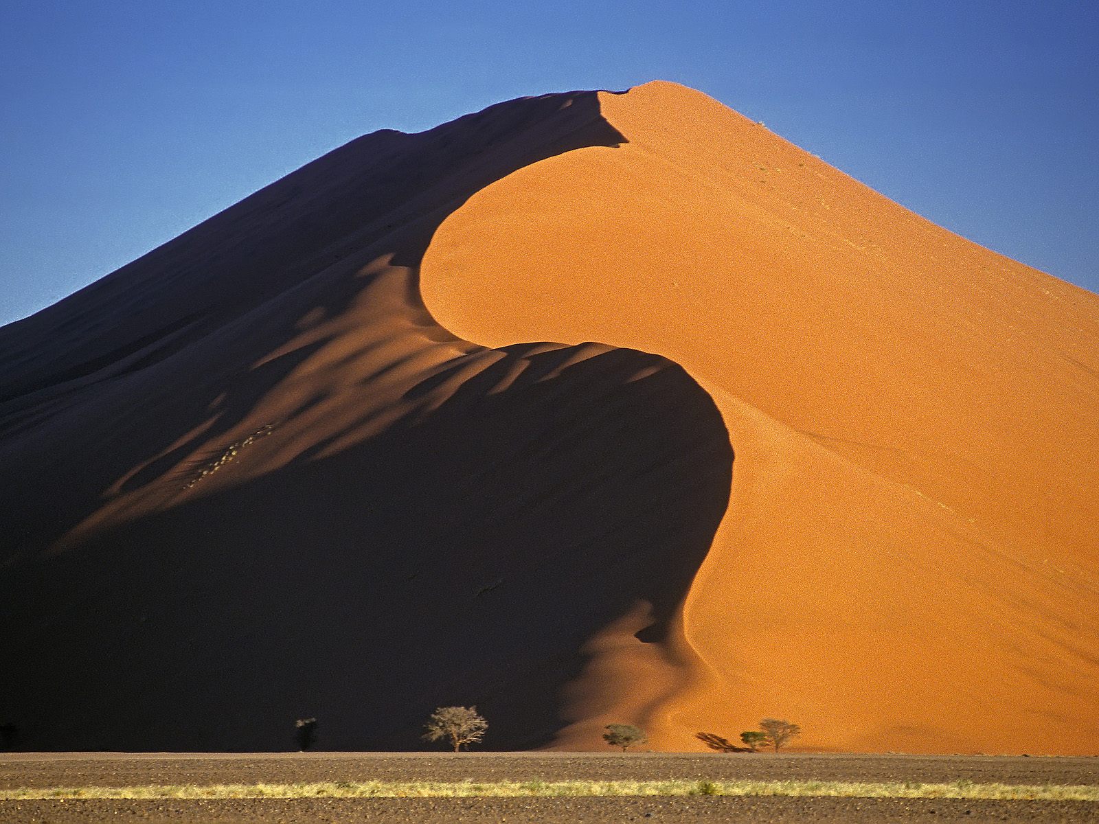 La duna más grande del mundo Dune-45--Sossusvlei-National-Park--Namib-Desert--Namibia-1943big