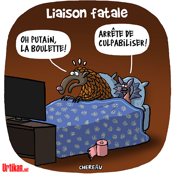 humour - [Humour] Anti-coronarien - Page 4 200330-Covid-Pangolin-chereau-full