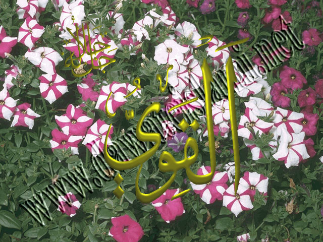 اسماء الله الحسنى 56