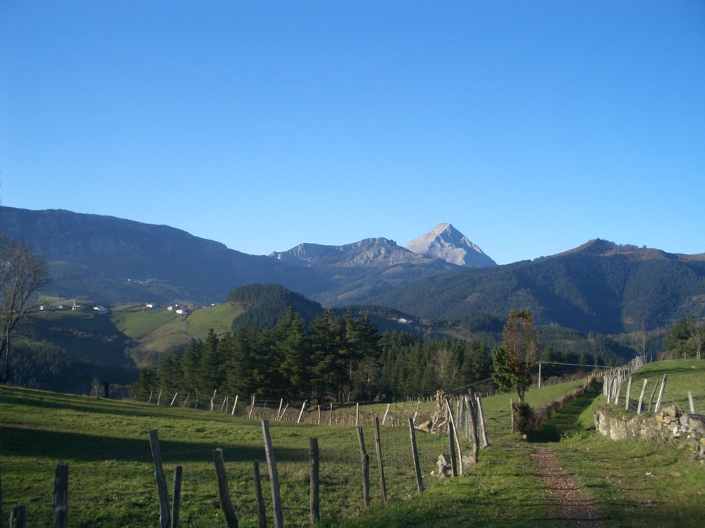 FOREROS DE EUSKADI Img03