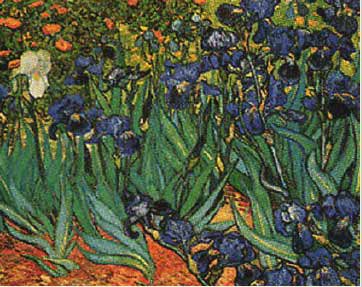 معلومات عن  فنسنت فان جوخ واشهر اعمله عجيب Van_gogh_irises