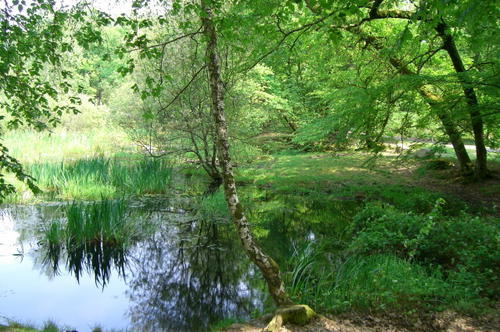 Le Point d'Eau Marofee