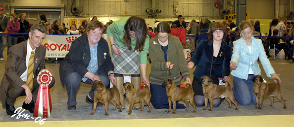 BRABANCONS ET GRIFFONS Lillasthlm2006