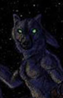 Loups-Garous Nightstrike_d_l