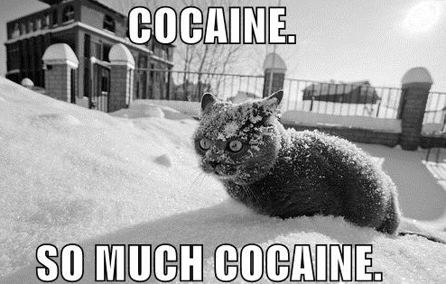 La Snif Cocaine-cat1