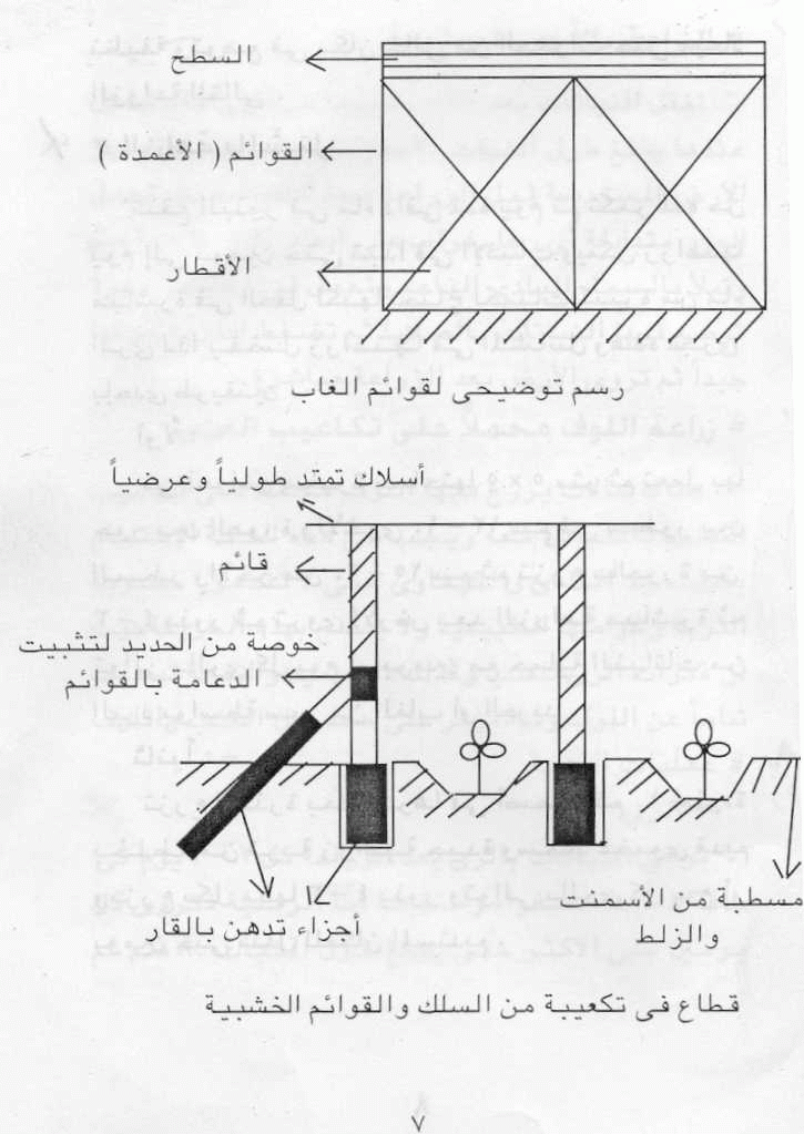 انتاج اللوف  L1