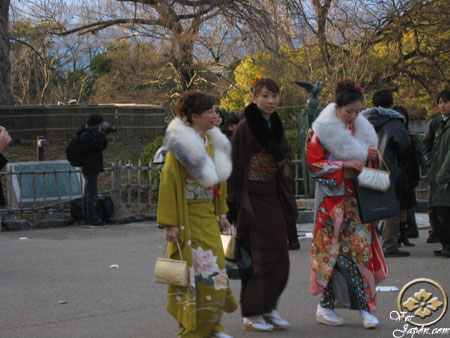 Kimonos (Vestidos Tradicionales Japoneses) Kimono2Japon