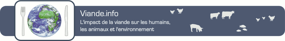 L214 combat : les maltraitances élevage intensif Viande-elevage-pollution-animaux