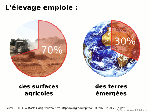 [↓] Nous mangeons trop de viande ! Ressources-agricoles-480x360