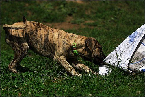 ESCAMA (Vaquero X Bakura) 09_06_01_FSM_GDdA079