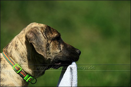 ESCAMA (Vaquero X Bakura) 09_06_01_FSM_GDdA080