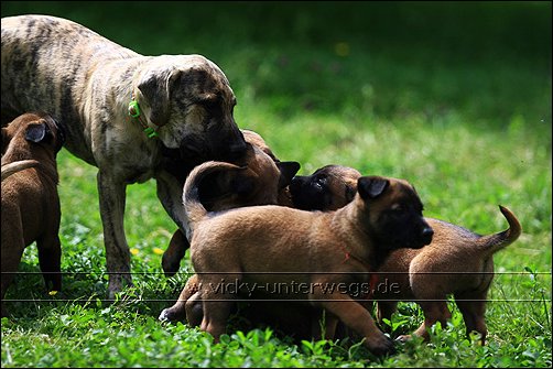 ESCAMA (Vaquero X Bakura) 09_06_01_FSM_GDdA147