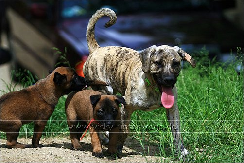 ESCAMA (Vaquero X Bakura) 09_06_01_FSM_GDdA162