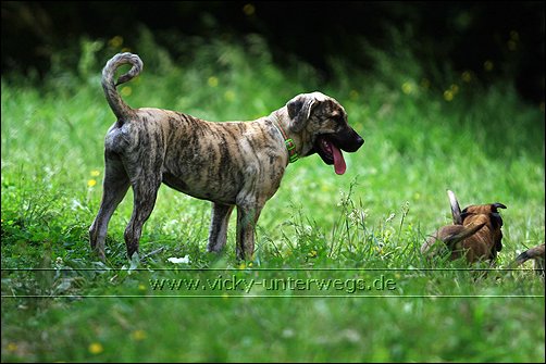 ESCAMA (Vaquero X Bakura) 09_06_01_FSM_GDdA189