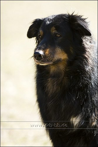 Salut de l'Allemagne 09_03_21_Fotokurs25