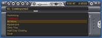 VLC media player Tm_winamp5