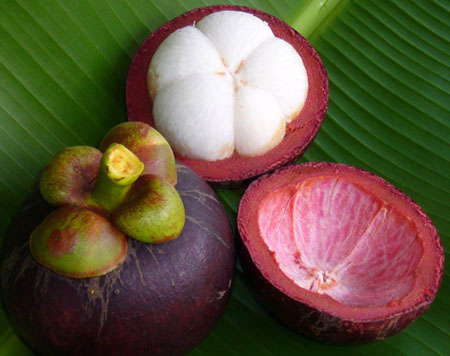 TRÁI CÂY NHIỆT ĐỚI  Mangosteen