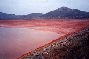 Photos des lieux Lac_de_boue_rouge___inde