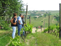 [Italie] - Les vignobles et caves du Piémont Bera4