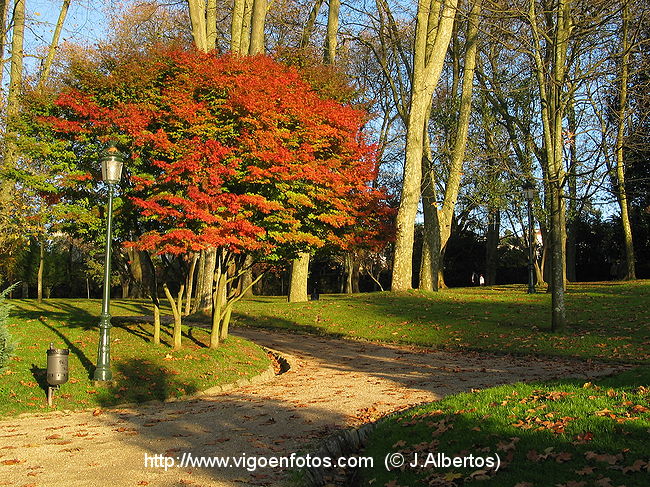 Parque Principal G_vigoenfotos_0394d