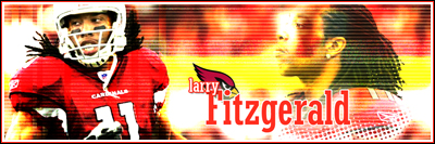 Arizona Cardinals Larry