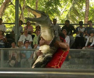 أدخل وشوف الصور Record-alligator