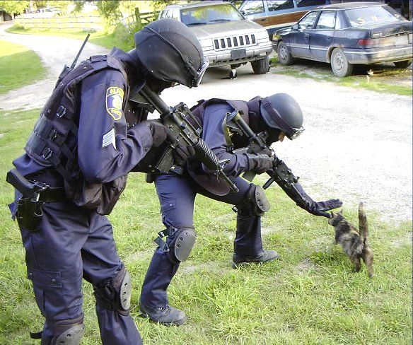 Stop  l'invasion des chats ! - Page 4 Chat_policiers